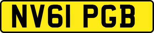 NV61PGB