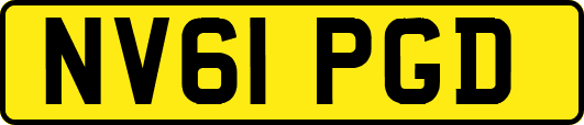 NV61PGD