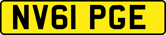 NV61PGE