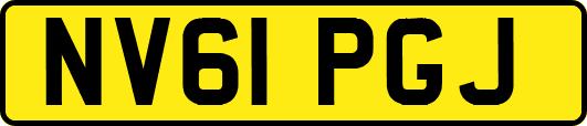 NV61PGJ