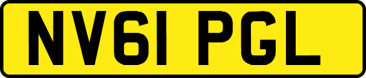 NV61PGL