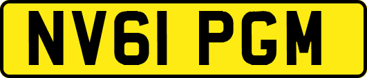 NV61PGM