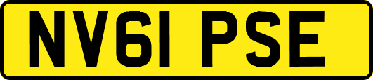 NV61PSE