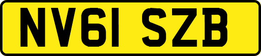 NV61SZB