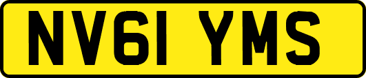 NV61YMS