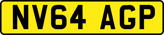 NV64AGP