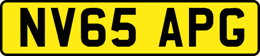 NV65APG