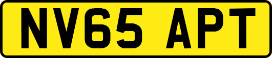 NV65APT