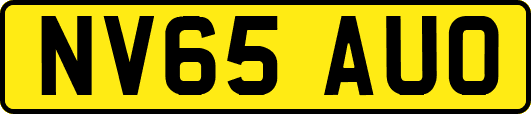 NV65AUO