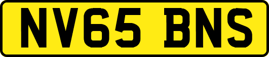 NV65BNS