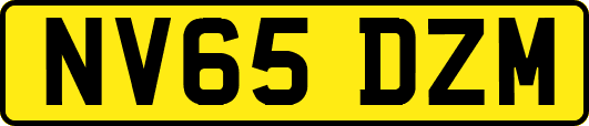 NV65DZM