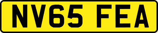 NV65FEA