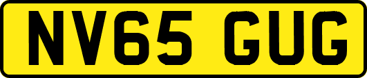 NV65GUG