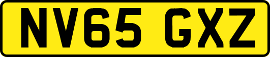 NV65GXZ