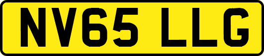 NV65LLG