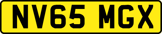 NV65MGX