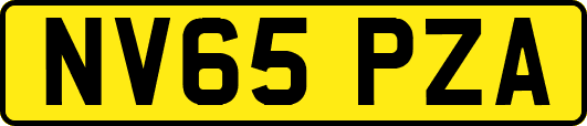 NV65PZA