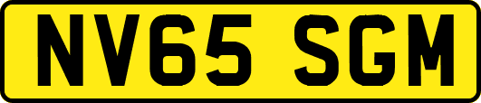 NV65SGM