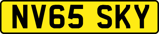 NV65SKY