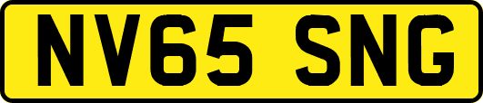 NV65SNG
