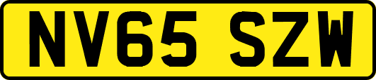 NV65SZW