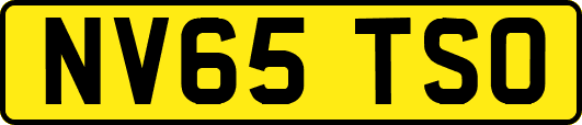 NV65TSO