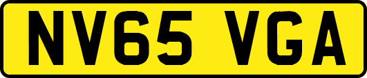 NV65VGA