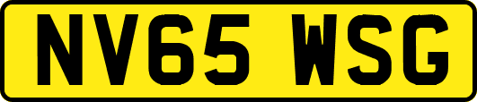 NV65WSG