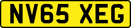 NV65XEG