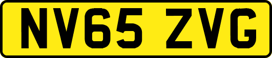 NV65ZVG
