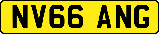 NV66ANG