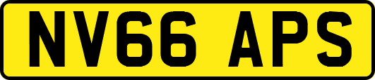 NV66APS
