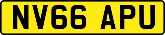 NV66APU