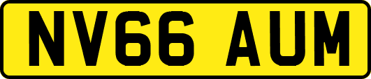 NV66AUM