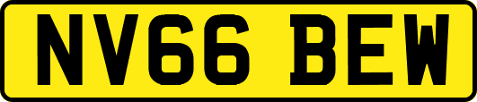 NV66BEW