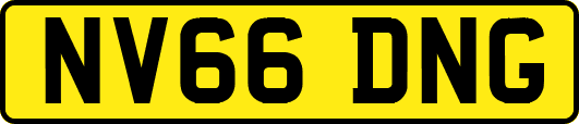 NV66DNG