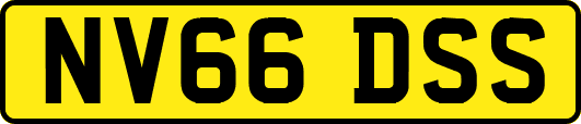 NV66DSS
