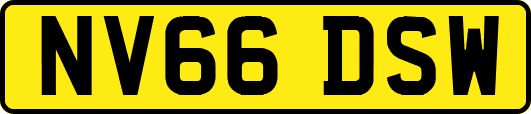 NV66DSW