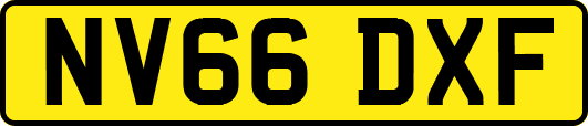 NV66DXF