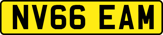 NV66EAM