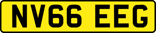 NV66EEG