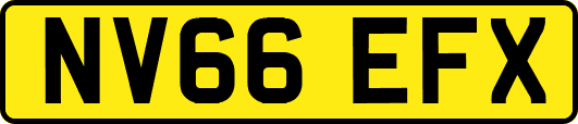 NV66EFX