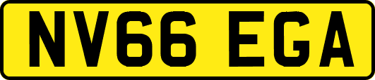 NV66EGA