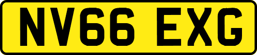 NV66EXG