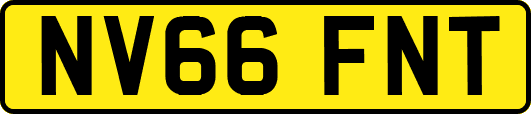 NV66FNT