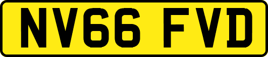NV66FVD