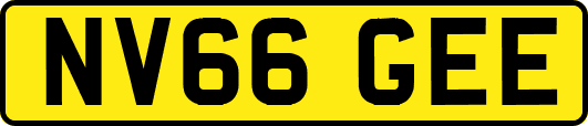 NV66GEE