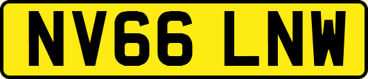 NV66LNW