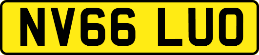 NV66LUO