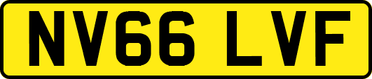 NV66LVF